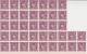 65800.jpg