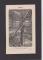 125950.jpg